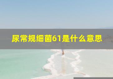 尿常规细菌61是什么意思