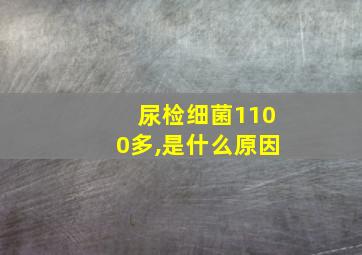 尿检细菌1100多,是什么原因