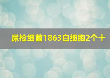 尿检细菌1863白细胞2个十