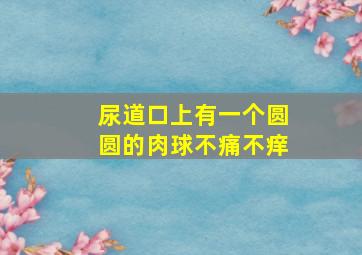 尿道口上有一个圆圆的肉球不痛不痒