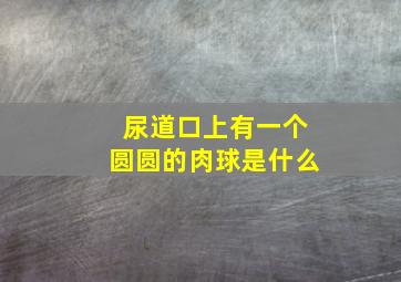 尿道口上有一个圆圆的肉球是什么