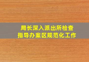 局长深入派出所检查指导办案区规范化工作