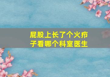 屁股上长了个火疖子看哪个科室医生