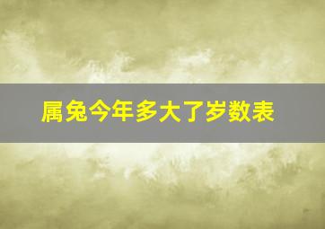 属兔今年多大了岁数表