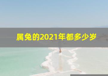 属兔的2021年都多少岁