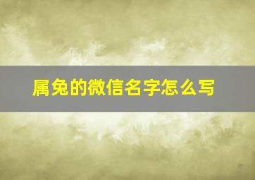 属兔的微信名字怎么写