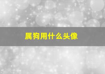 属狗用什么头像