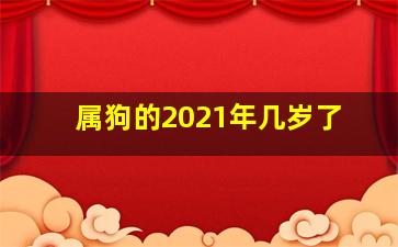 属狗的2021年几岁了