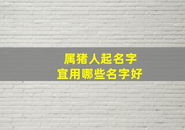 属猪人起名字宜用哪些名字好