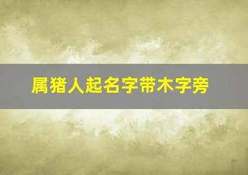 属猪人起名字带木字旁