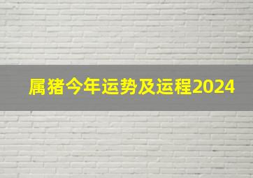 属猪今年运势及运程2024