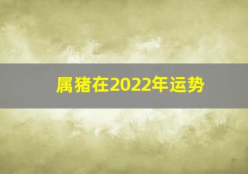 属猪在2022年运势