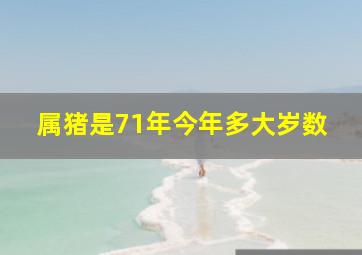 属猪是71年今年多大岁数