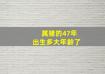 属猪的47年出生多大年龄了