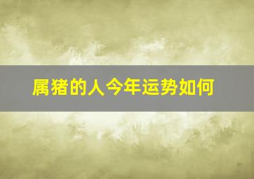 属猪的人今年运势如何