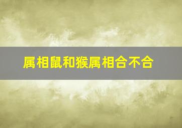 属相鼠和猴属相合不合