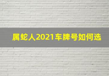 属蛇人2021车牌号如何选