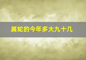 属蛇的今年多大九十几