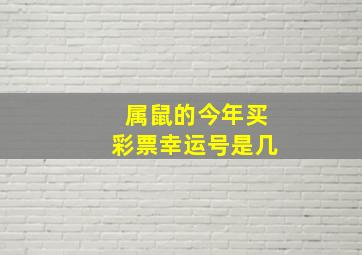 属鼠的今年买彩票幸运号是几