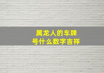 属龙人的车牌号什么数字吉祥