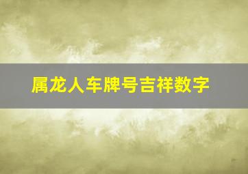 属龙人车牌号吉祥数字