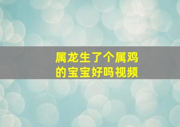 属龙生了个属鸡的宝宝好吗视频