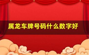 属龙车牌号码什么数字好