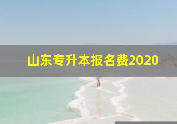 山东专升本报名费2020