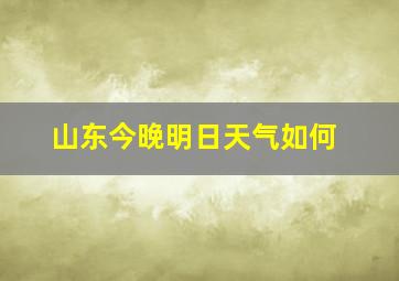 山东今晚明日天气如何