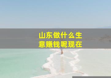 山东做什么生意赚钱呢现在