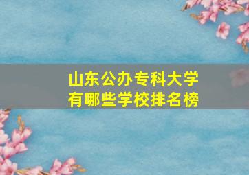 山东公办专科大学有哪些学校排名榜