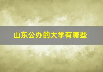 山东公办的大学有哪些