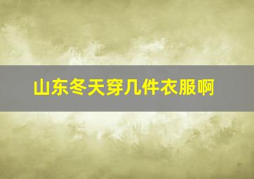 山东冬天穿几件衣服啊