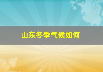 山东冬季气候如何