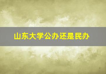 山东大学公办还是民办