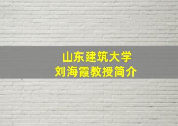 山东建筑大学刘海霞教授简介