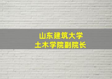 山东建筑大学土木学院副院长