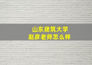 山东建筑大学赵彦老师怎么样