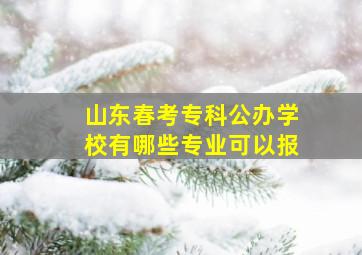 山东春考专科公办学校有哪些专业可以报