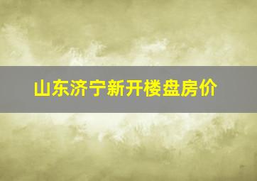 山东济宁新开楼盘房价