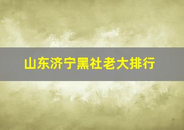 山东济宁黑社老大排行