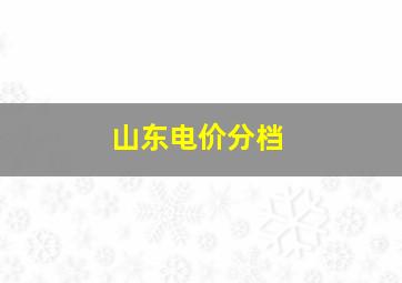 山东电价分档