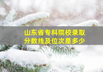 山东省专科院校录取分数线及位次是多少