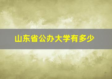 山东省公办大学有多少