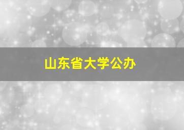 山东省大学公办