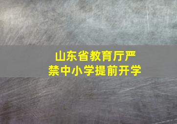 山东省教育厅严禁中小学提前开学