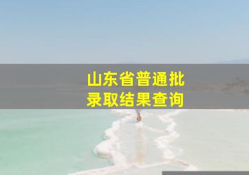 山东省普通批录取结果查询