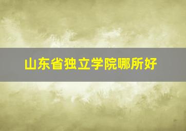 山东省独立学院哪所好