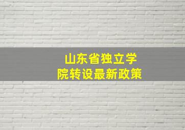 山东省独立学院转设最新政策