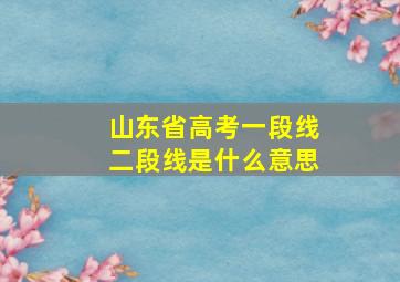 山东省高考一段线二段线是什么意思